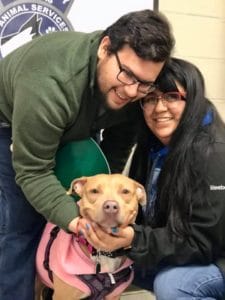 Building a Foundation