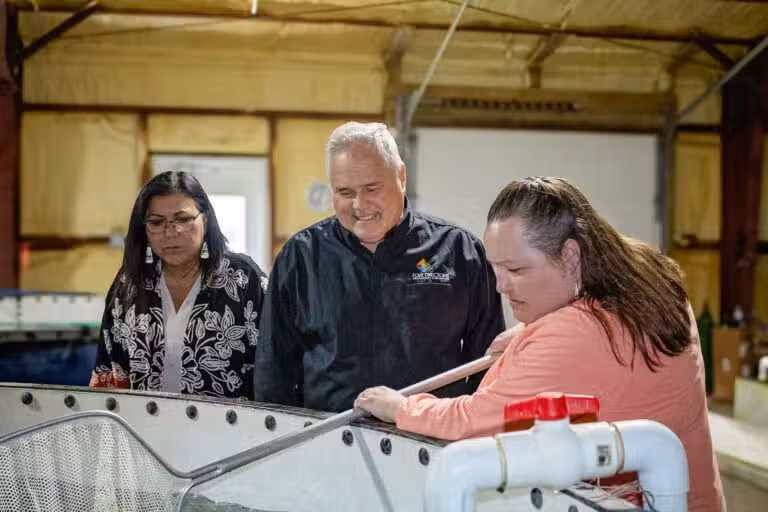 Harvesting Tradition