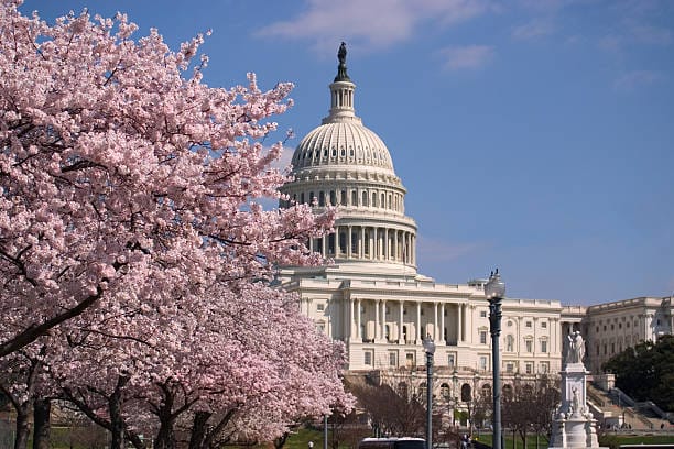 FY 27 CDFI Fund Senate Appropriations Dear Colleague Sign on Letter