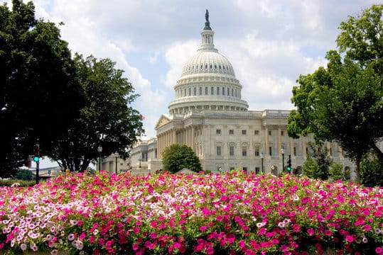 Organizations Sign-on in Support of FY 27 Appropriations